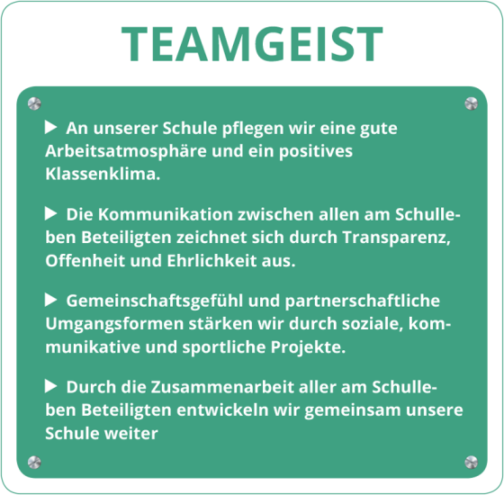 Teamgeist